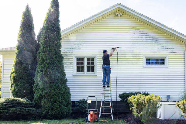 Professional Pressure Washing in Altadena, CA